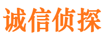 鹿泉寻人公司